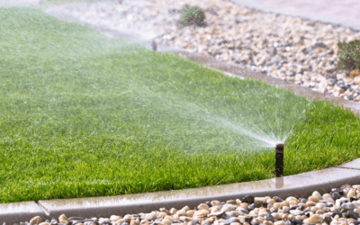 How Tuna Cans Help with Watering Your Lawn